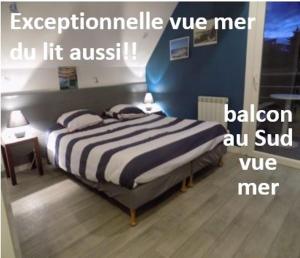 Grand LARGE FACE A LA PLAGE TRESTEL