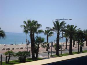 GRAND LARGE Méditerranée