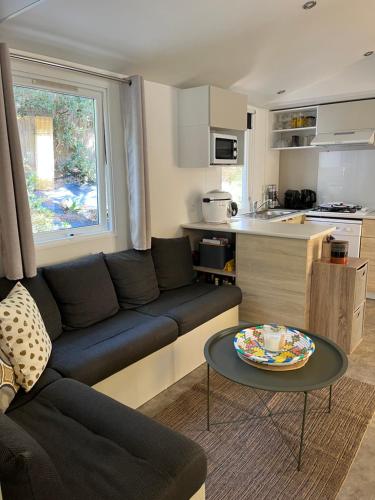 Grand Mobilhome Chalet Parc Montana Gassin