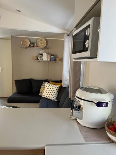 Grand Mobilhome Chalet Parc Montana Gassin