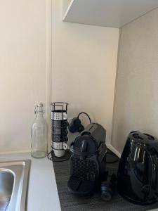 Grand Mobilhome Chalet Parc Montana Gassin