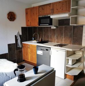 Grand studio 4 à 6 personnes, au pied des pistes