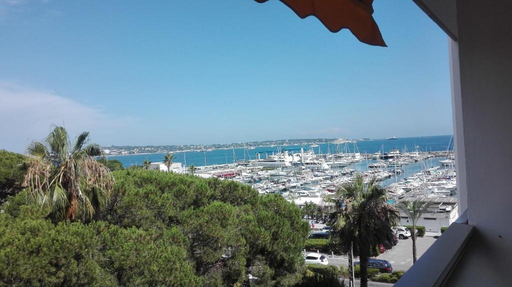 Appartement Grand studio climatisé en bord de mer avec parking sécurisé 95 Avenue des Frères Roustan 06220 Golfe-Juan