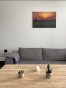 Grand studio confortable et spacieux avec terrasse