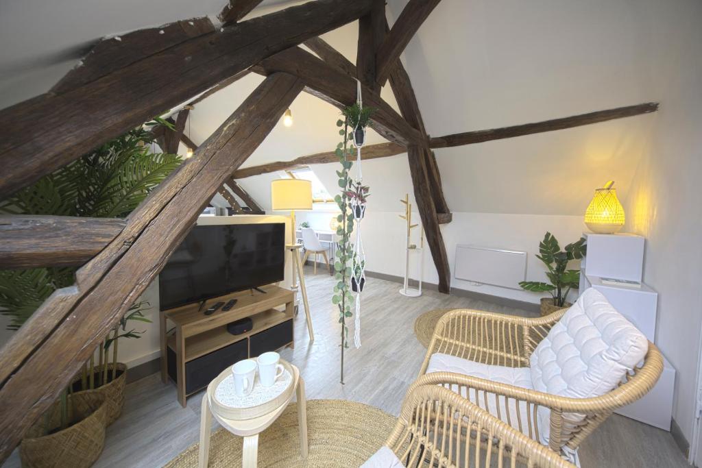 Appartement Grand Studio / Cosy & Authentique / Netflix 18 Rue Gaston Perrot 89100 Sens