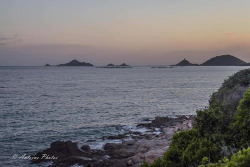 Grand Studio de standing bord de mer
