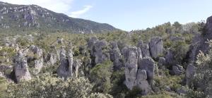 Grand Studio Entre Lac Et Garrigue