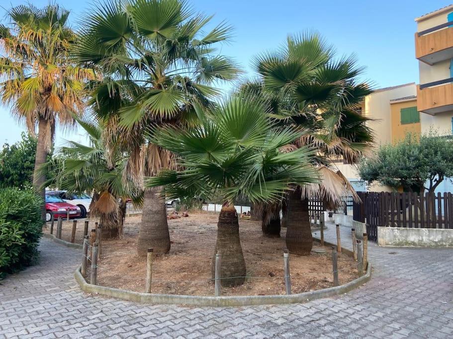 Appartement Grand studio pour 5 personnes bord de plage Rue des Cévennes 30240 Le Grau-du-Roi