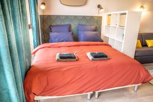 Grand Studio Stan Nancy - calme, cosy, lumineux