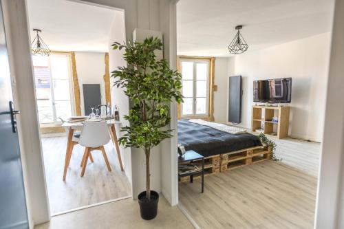 Grand Studio tout confort au cœur du centre ville