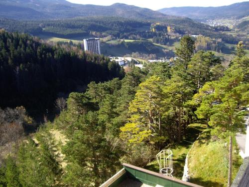 Grand Studio VILLARD DE LANS Les Glovettes