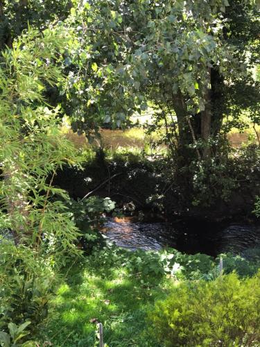 Grand Studio vue sur la rivière de l'Aven et le Bois d’Amour
