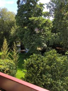 Grand Studio vue sur la rivière de l'Aven et le Bois d’Amour