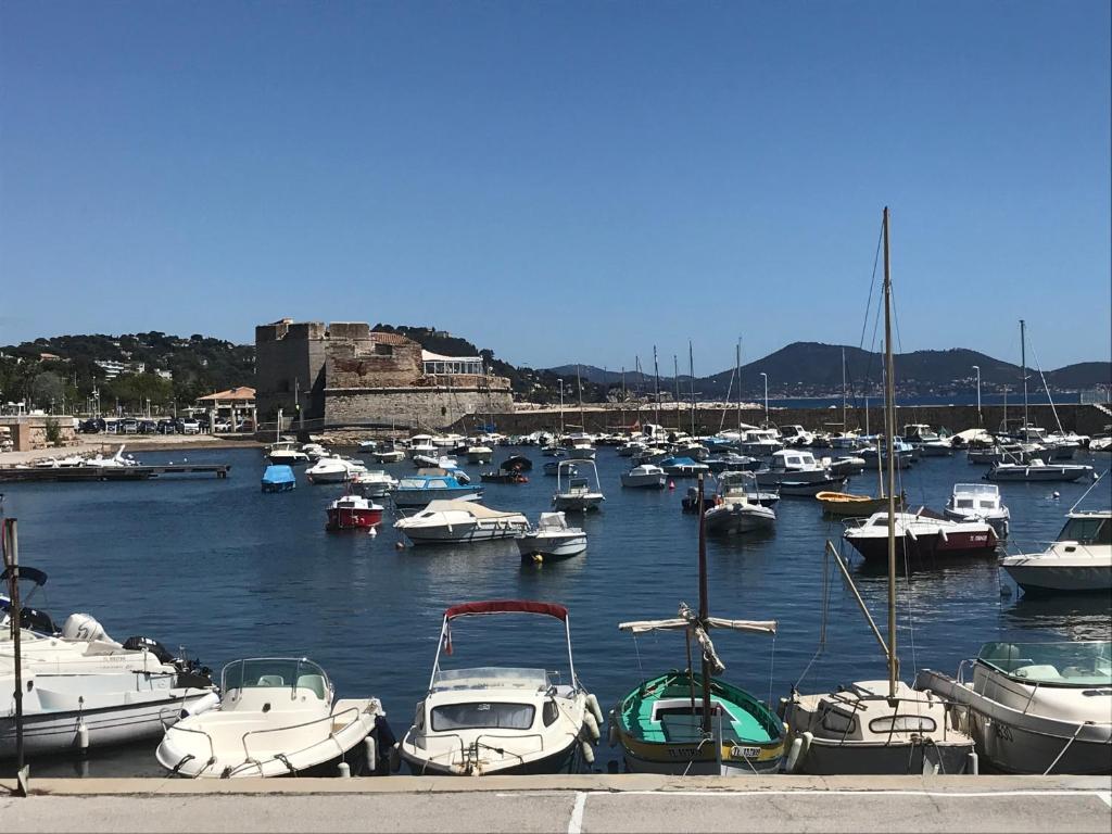 Grand T2 43m2 plages du Mourillon 122 Boulevard Docteur Cuneo, 83000 Toulon