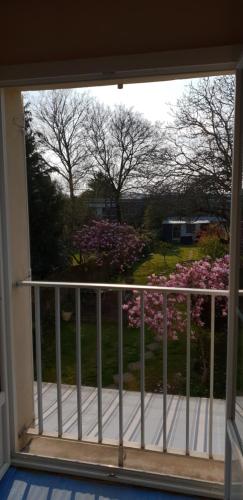 Grand T2 Port de Vannes, vue sur jardin