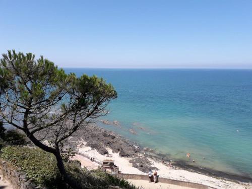 Granville Plage Plat Gousset