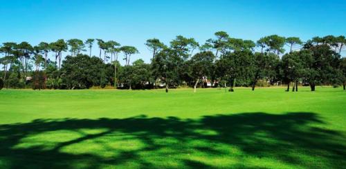 Great condo between golf course and beach