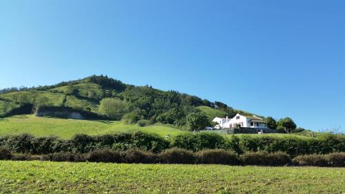 Green and Blue Cottage