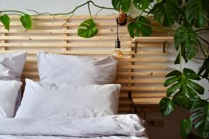 GreenBnBs: Cozy Urban Jungle in the City Centre