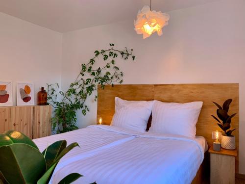 GreenBnBs: gemütliches Design Apartment