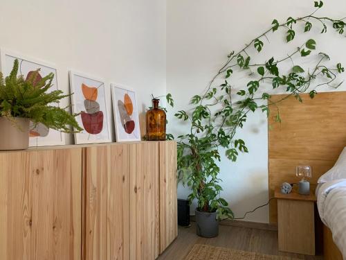 GreenBnBs: gemütliches Design Apartment