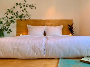 GreenBnBs: gemütliches Design Apartment