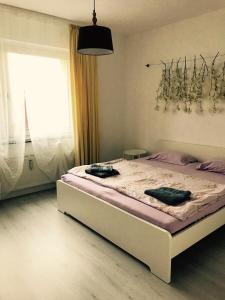 Griffn Properties Lifestyle