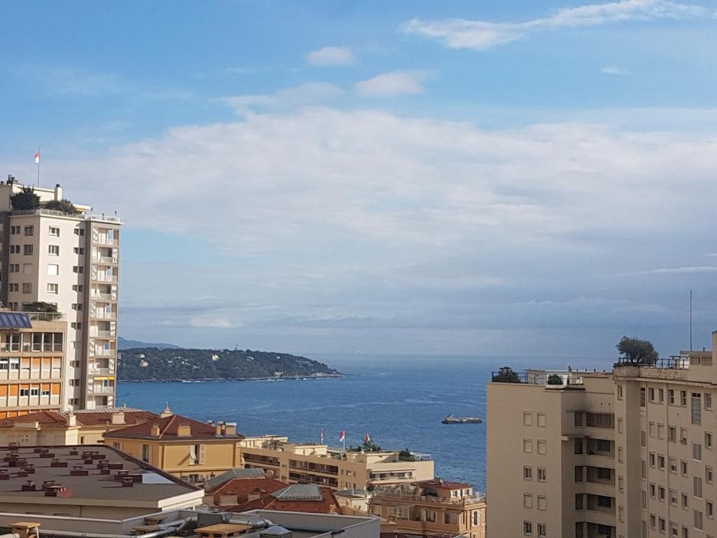 Appartement Grimaldi Forum sea view 2 Boulevard de la Turbie 06240 Beausoleil