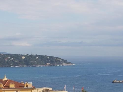 Grimaldi Forum sea view