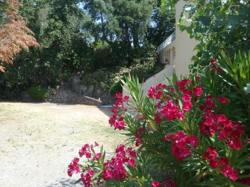 Grimaud Golfe de St Tropez Var Côte d'Azur