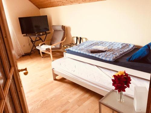 Große 5 Zimmer Whg , 4-5 Bedrooms flat, big living Kitchen, Wlan Smart TV, Hotbird Eutelsat u Astra Satellite TV, between Frankfurt & Wiesbaden, A66 & A3, many parking places