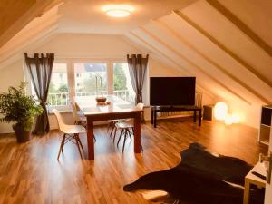 Große Dachgeschosswohnung mit Küche und Badezimmer an der Uniklinik Homburg