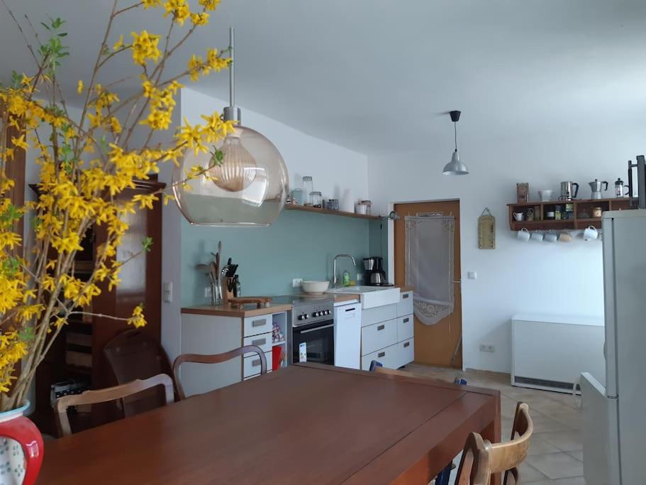 Appartement Große Ferienwohnung in Flecken Zechlin 8 Wittstocker Straße 16837 Rheinsberg