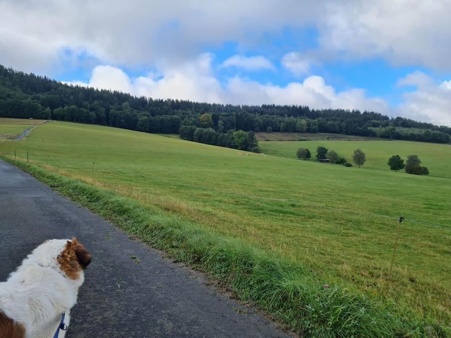 Appartement Große Ferienwohnung inmitten der Natur von Bödefeld 5 Zur Wahr 1.OG 57392 Schmallenberg