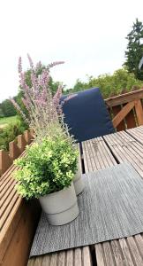 Große Koje mit Sauna & Terrasse