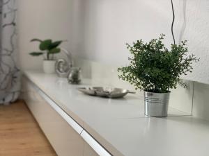 Große moderne Ferienwohnung, zentrale ruhige Lage