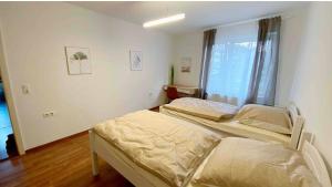 Große Wohnung im Herzen Kassels