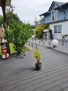 Große Wohnung mit Terrasse und Grill