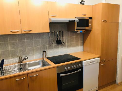 Großes 1-Zimmer Wohlfühl-Appartement