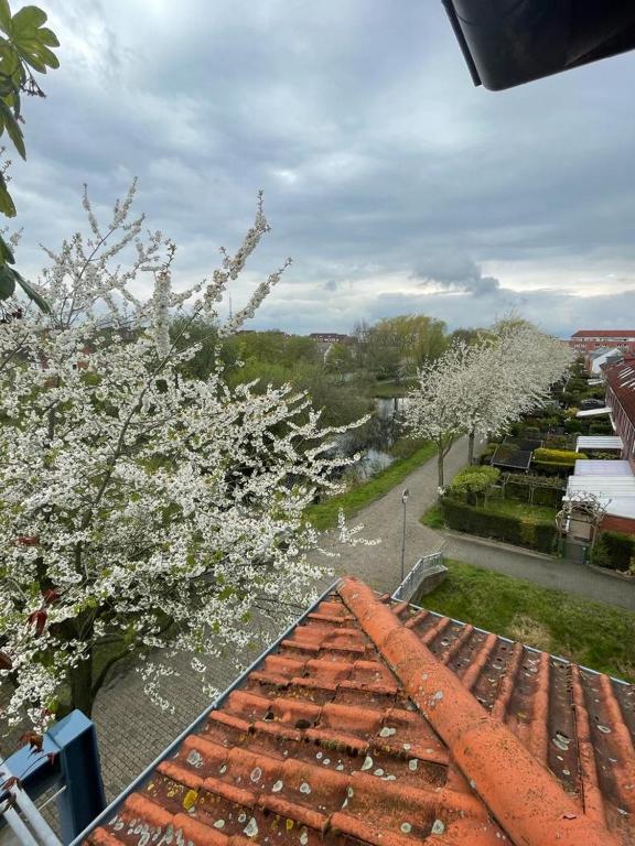 Großzügige Wohnung in Findorff 69 Bürgerwohlsweg, 28215 Brême