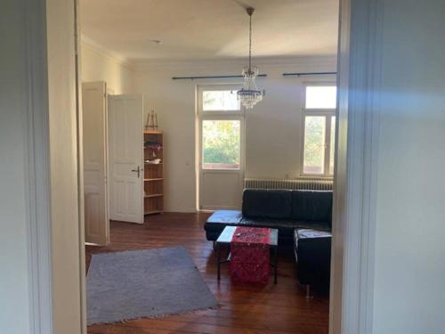 großzügige Wohnung in Schleswiger Altbauvilla