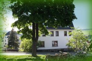 Grosse-Ferienwohnung-Ebert-Green