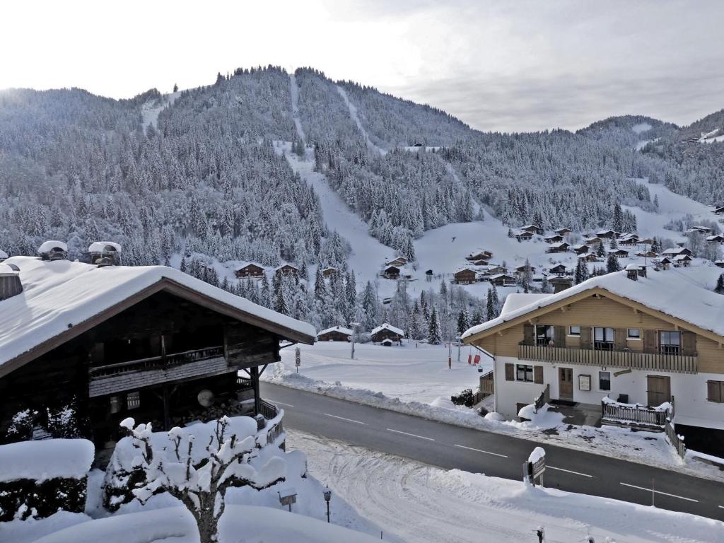 Appartement GROTTE AUX FEES A, appartement skis aux pieds 1149, route du C 74220 La Clusaz