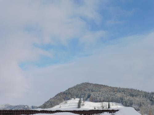 Grün und herzlich