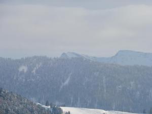 Grün und herzlich