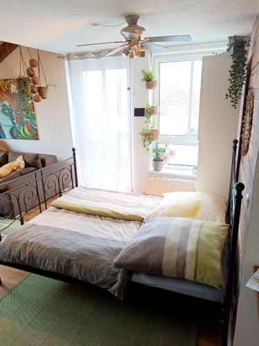 Grüne Lichtreiche Wohnung mit Dachterasse