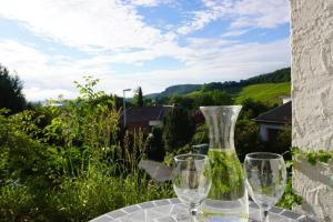 Grüne Wohlfühloase mit einmaliger Aussicht