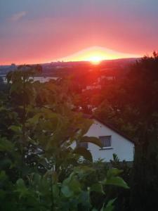Grüne Wohlfühloase mit einmaliger Aussicht