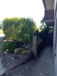 Grünes Allgäu
