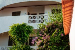 Appartement GUEST HOUSE 'Pool and BBQ' by Extreme Point Rua Dunfermline 8200-161 Albufeira Algarve